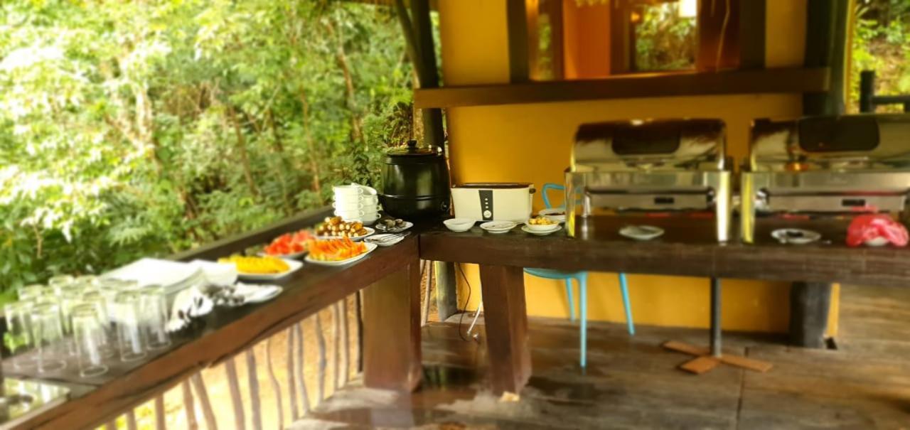 Explore Sinharaja Rain Forest Tour Camp Dombagoda 외부 사진