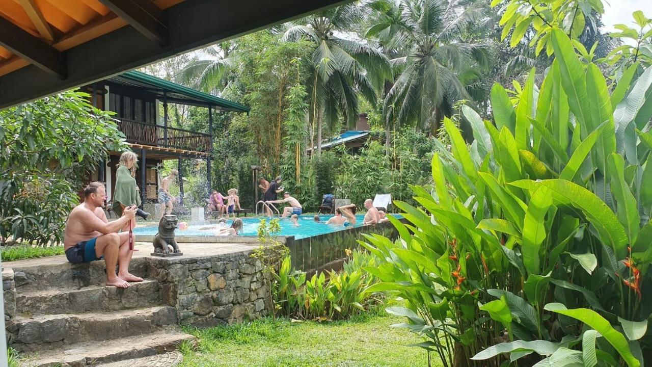 Explore Sinharaja Rain Forest Tour Camp Dombagoda 외부 사진