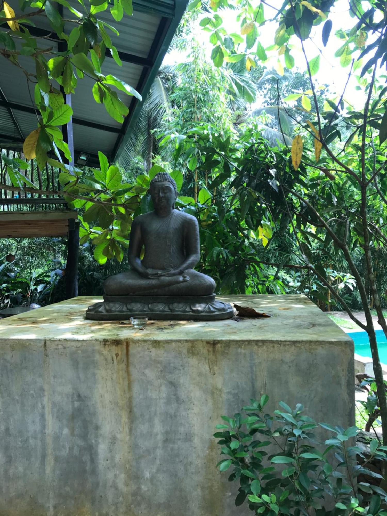 Explore Sinharaja Rain Forest Tour Camp Dombagoda 외부 사진