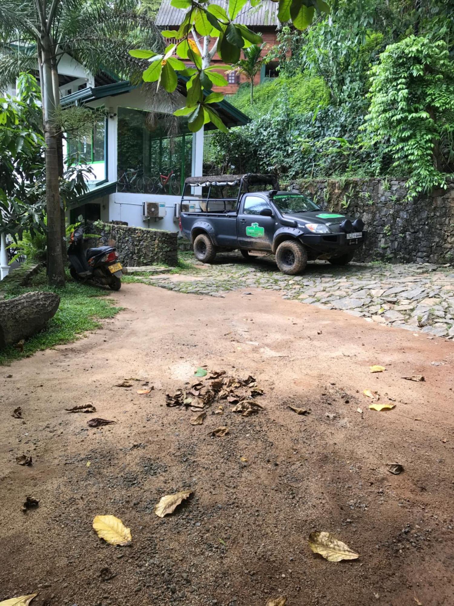 Explore Sinharaja Rain Forest Tour Camp Dombagoda 외부 사진