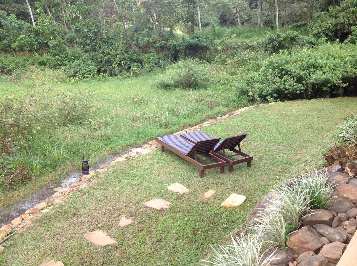 Explore Sinharaja Rain Forest Tour Camp Dombagoda 외부 사진