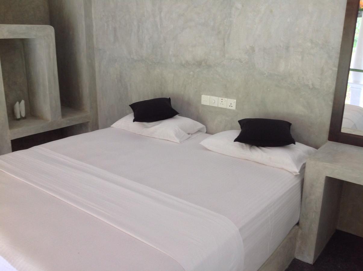 Explore Sinharaja Rain Forest Tour Camp Dombagoda 외부 사진