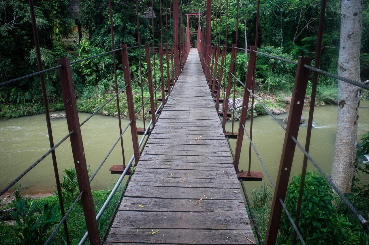 Explore Sinharaja Rain Forest Tour Camp Dombagoda 외부 사진
