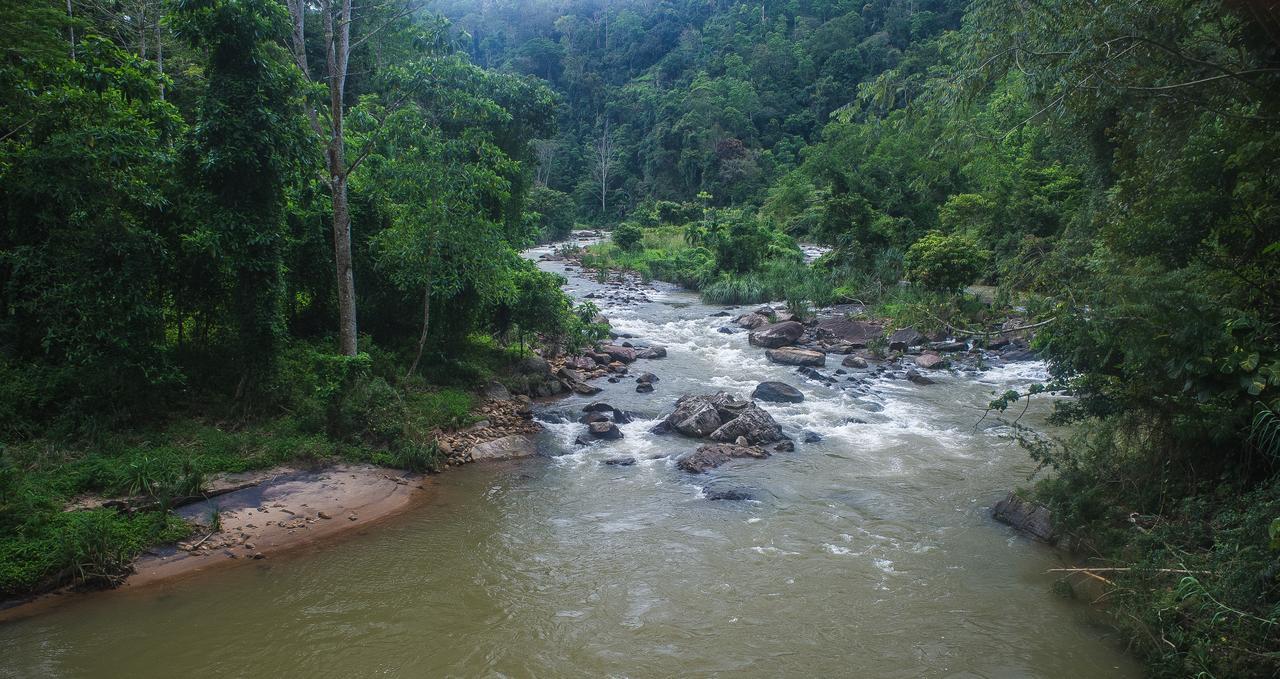 Explore Sinharaja Rain Forest Tour Camp Dombagoda 외부 사진