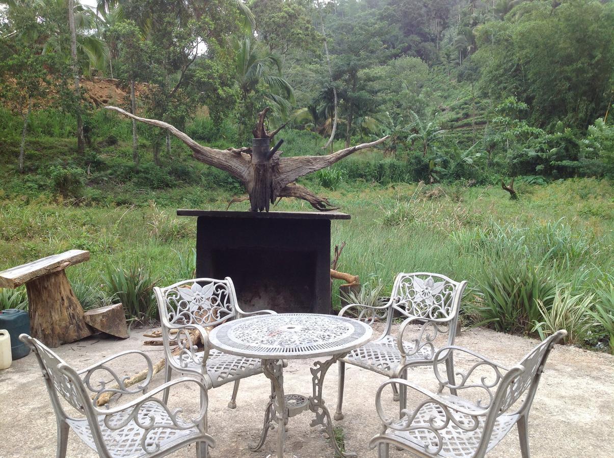 Explore Sinharaja Rain Forest Tour Camp Dombagoda 외부 사진