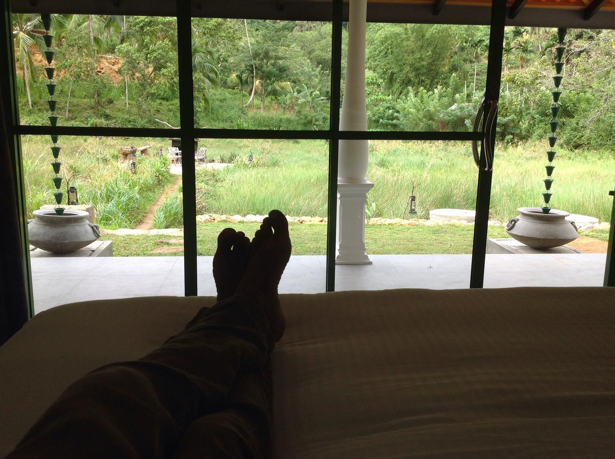 Explore Sinharaja Rain Forest Tour Camp Dombagoda 외부 사진