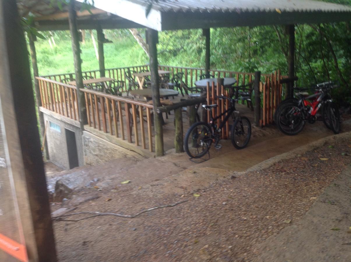 Explore Sinharaja Rain Forest Tour Camp Dombagoda 외부 사진