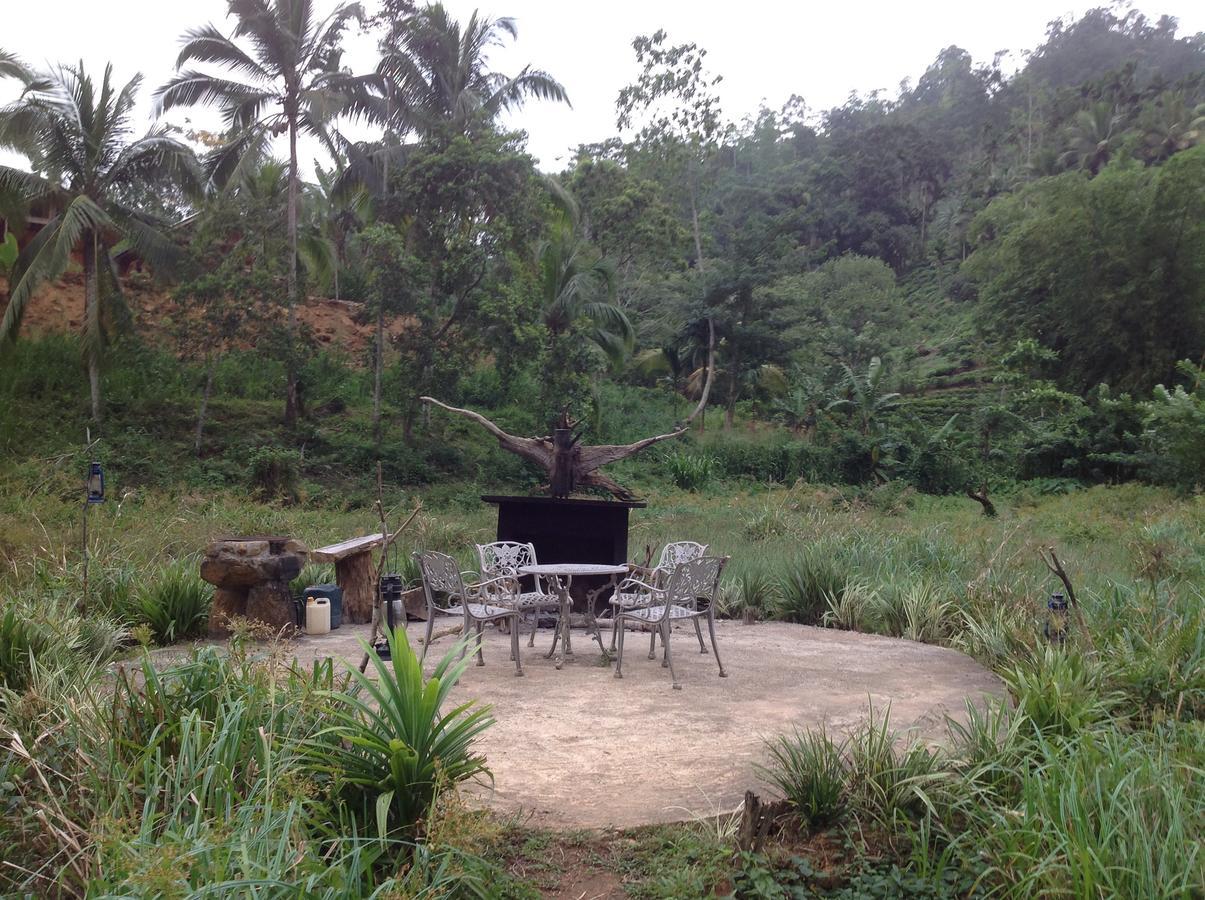 Explore Sinharaja Rain Forest Tour Camp Dombagoda 외부 사진