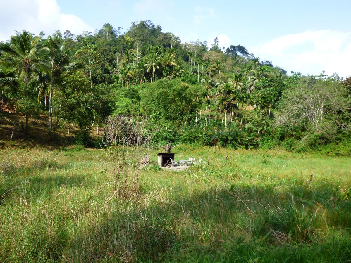 Explore Sinharaja Rain Forest Tour Camp Dombagoda 외부 사진