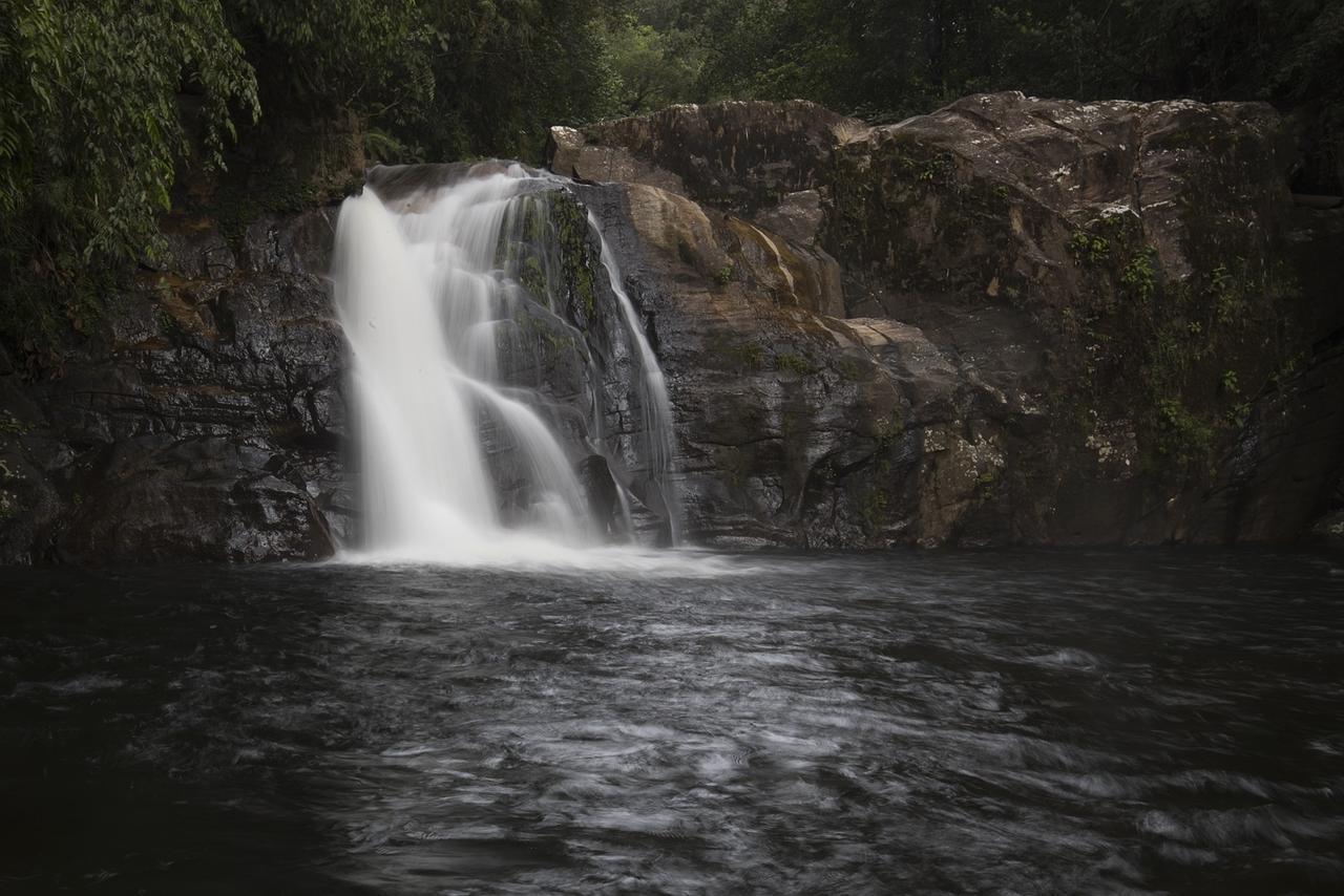 Explore Sinharaja Rain Forest Tour Camp Dombagoda 외부 사진