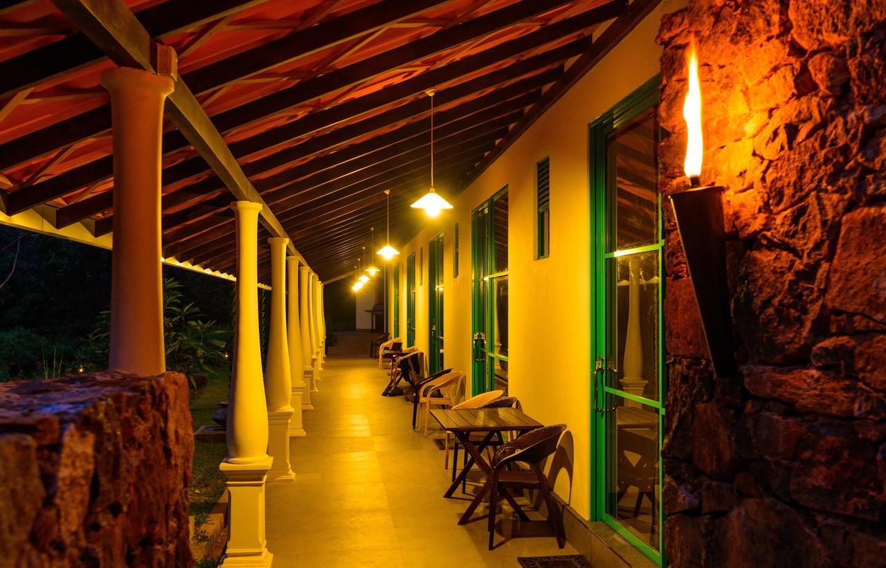 Explore Sinharaja Rain Forest Tour Camp Dombagoda 외부 사진