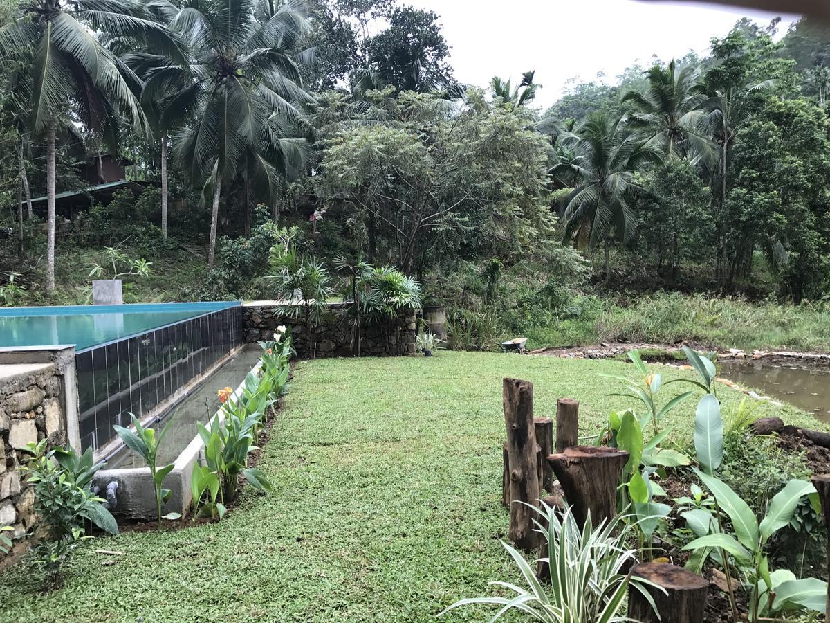 Explore Sinharaja Rain Forest Tour Camp Dombagoda 외부 사진