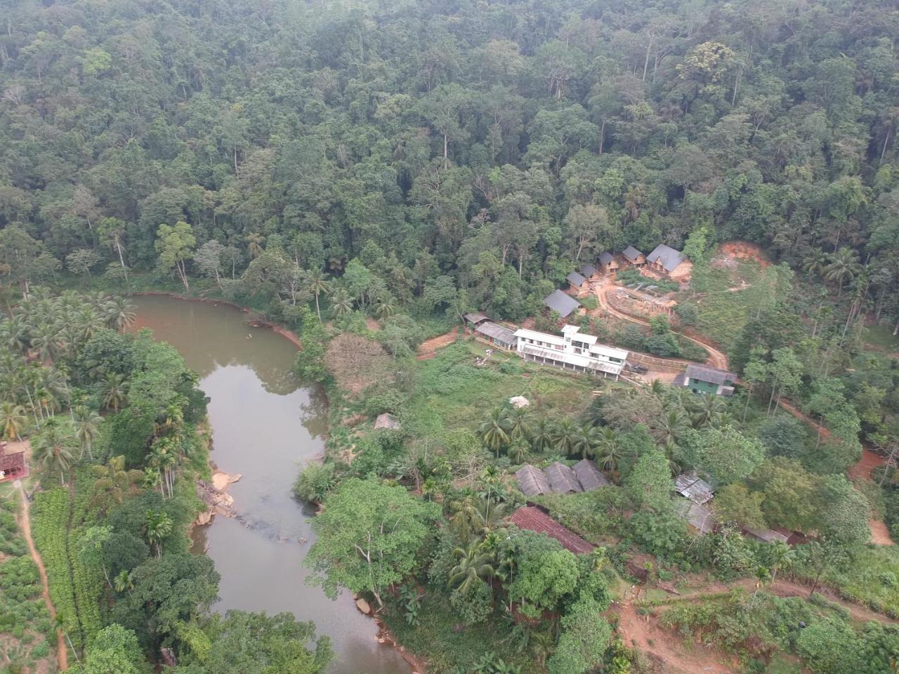 Explore Sinharaja Rain Forest Tour Camp Dombagoda 외부 사진