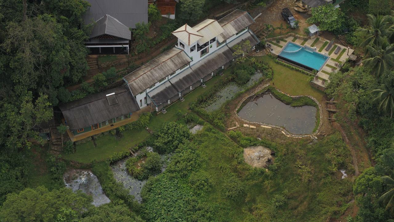 Explore Sinharaja Rain Forest Tour Camp Dombagoda 외부 사진