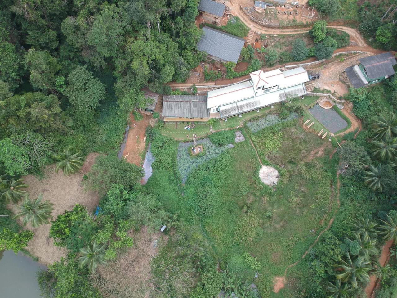 Explore Sinharaja Rain Forest Tour Camp Dombagoda 외부 사진