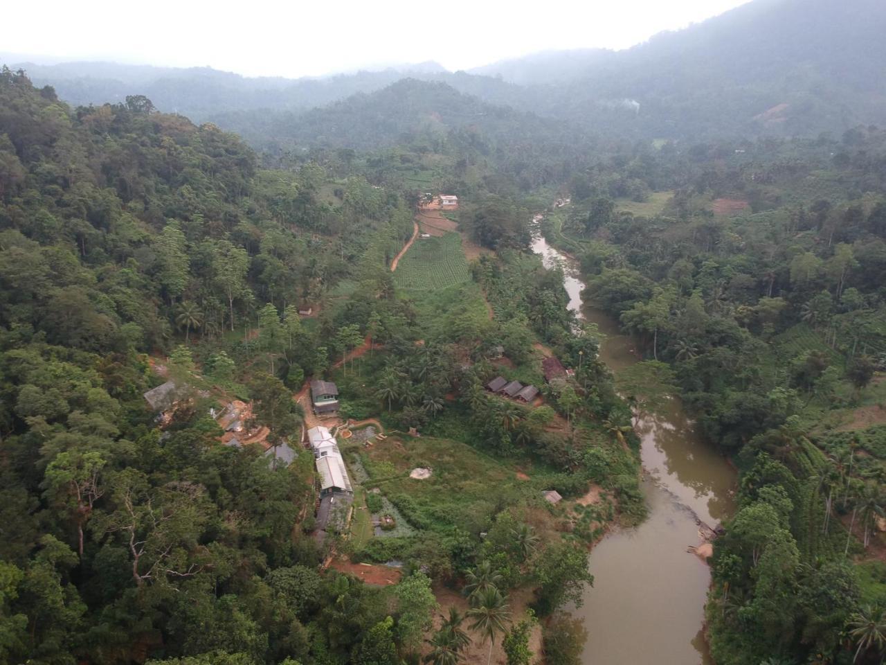 Explore Sinharaja Rain Forest Tour Camp Dombagoda 외부 사진
